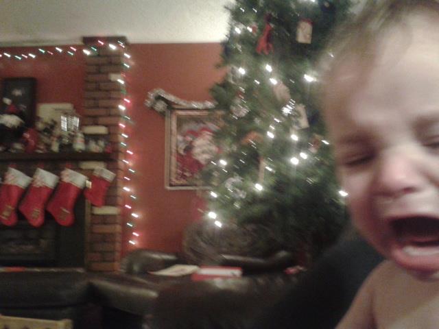 301246_260191360774176_435688756_n