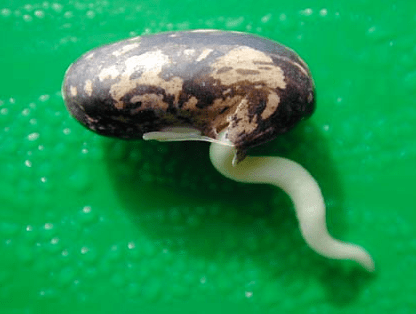 Screen Shot 2013-08-11 at 11.59.41 AM